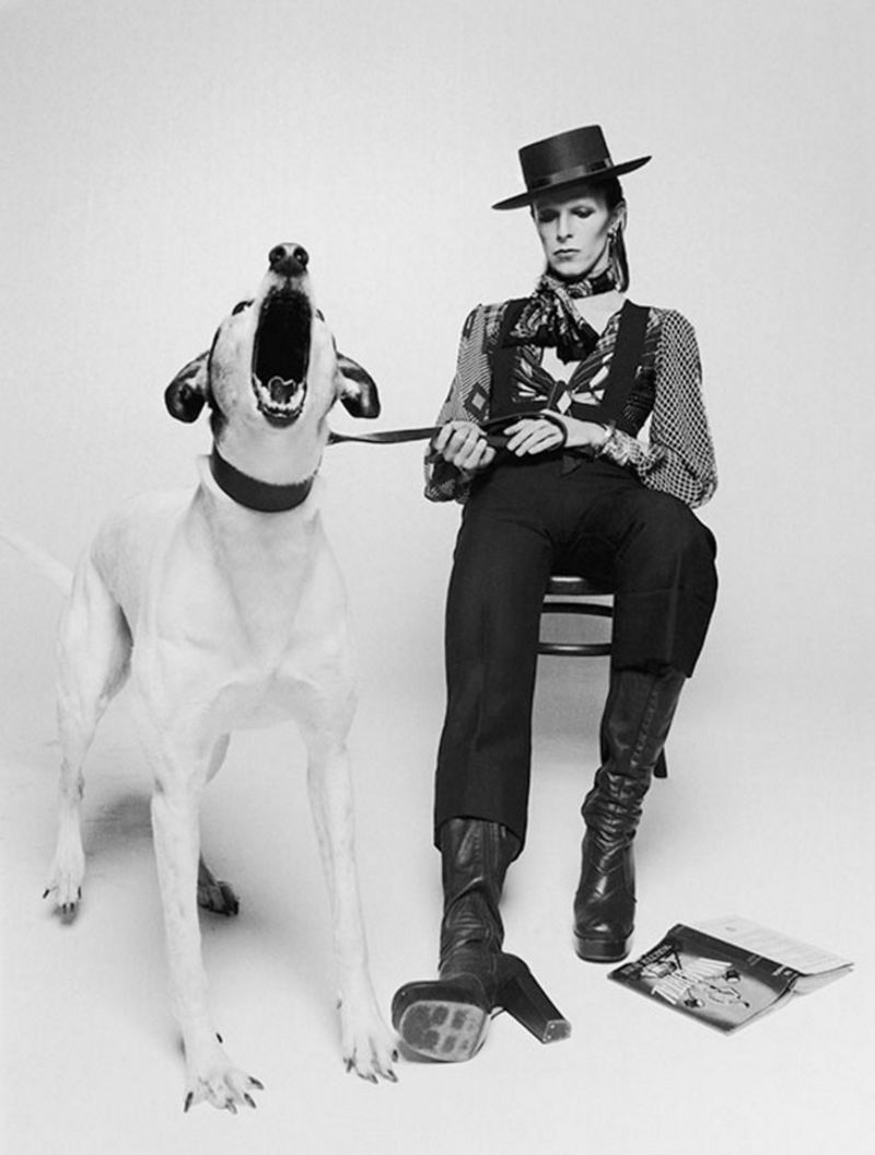David Bowie, Diamond Dogs (view 2)